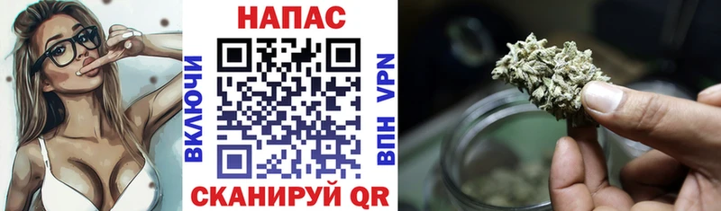 Конопля гибрид  Купить где  Нарткала 